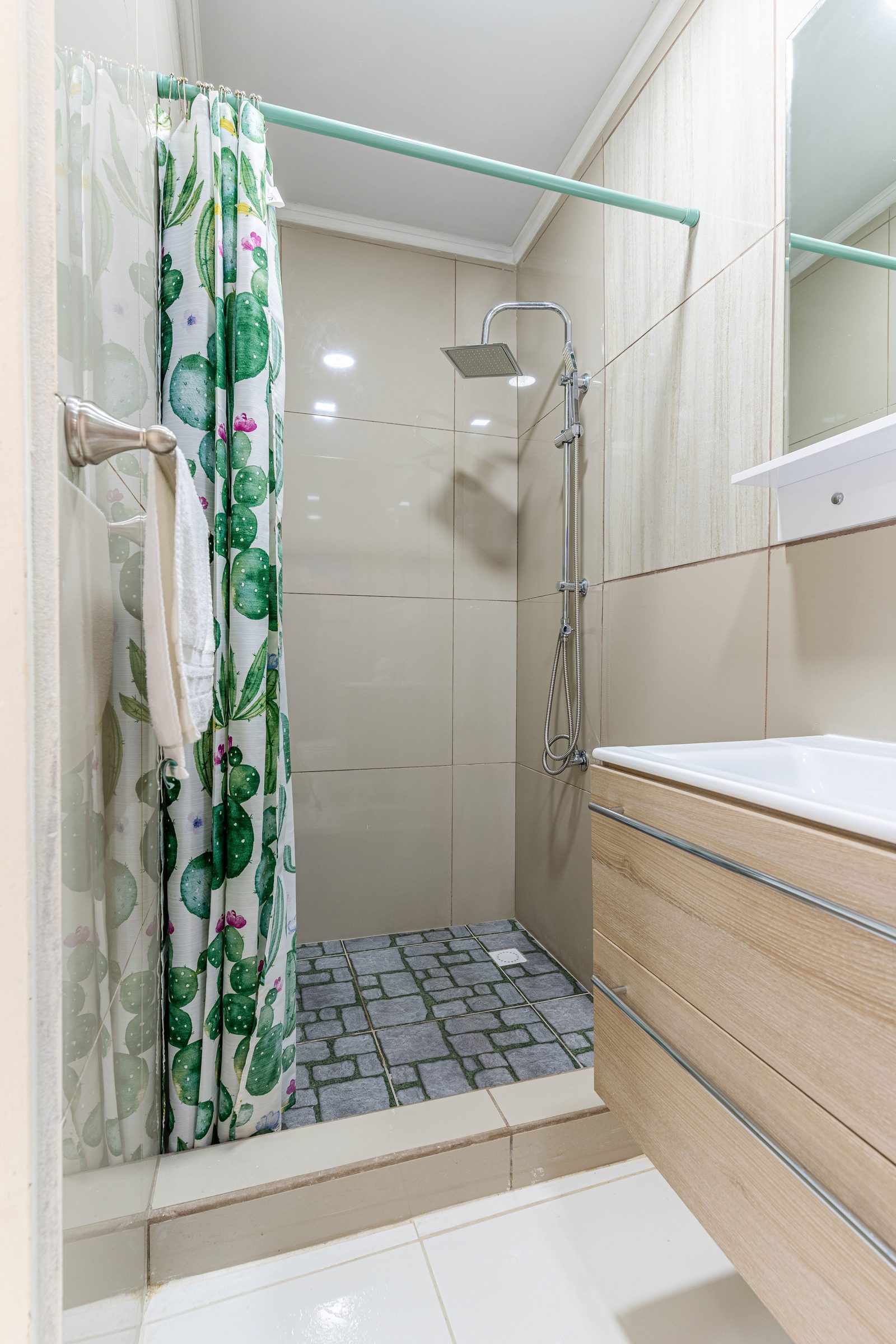 Apartment 5 · walk-in shower