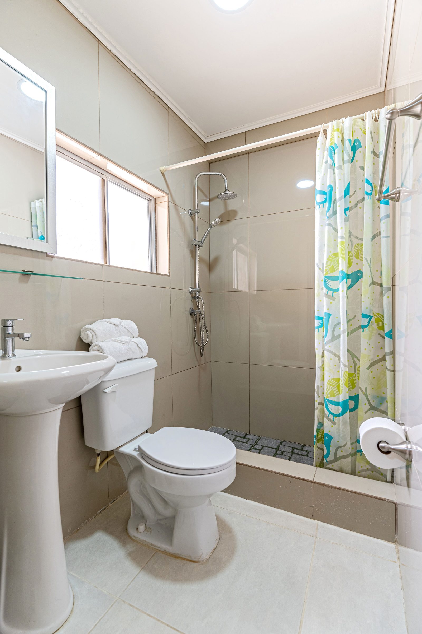 Apartment 6 · bathroom